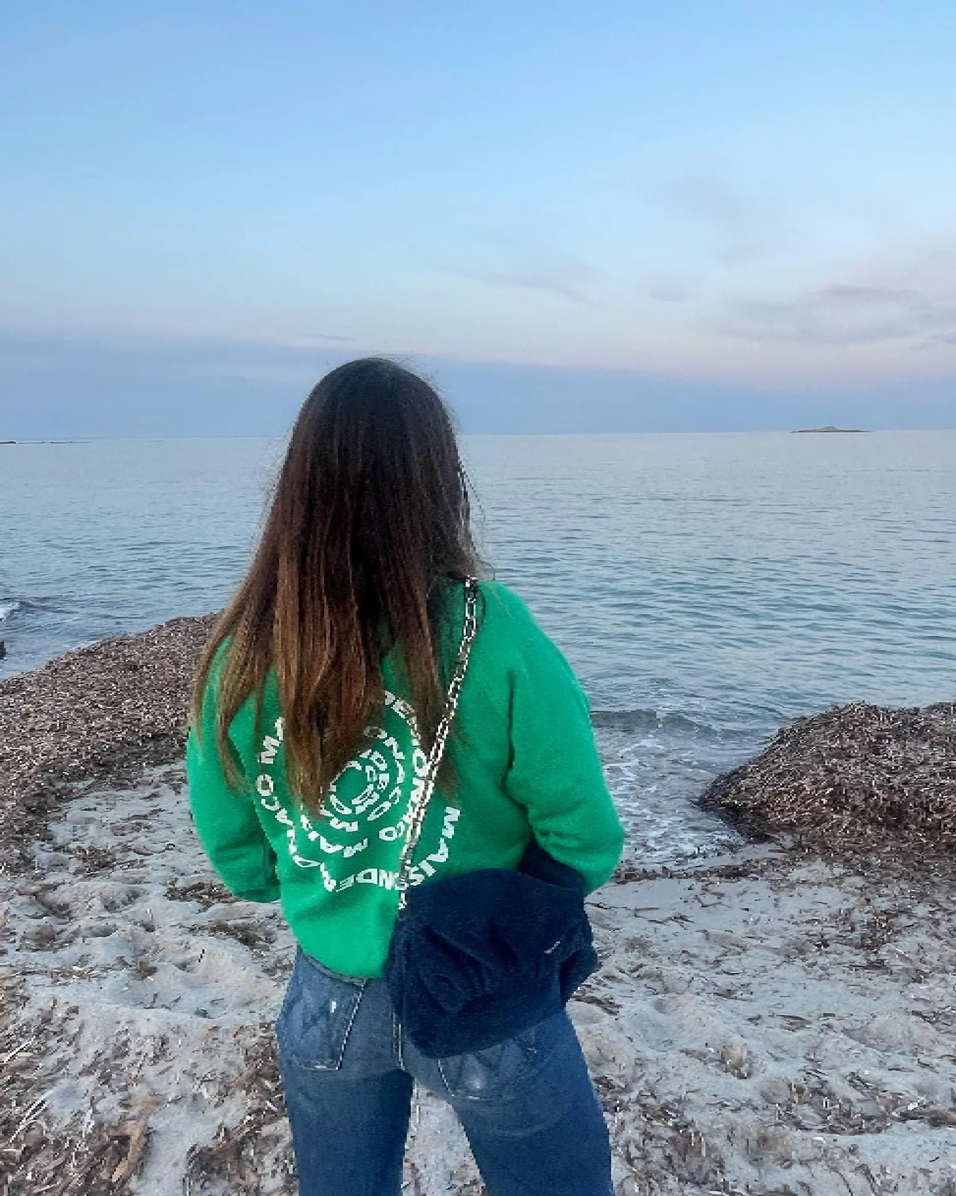 Sweat Maison de Monaco Vert (2)